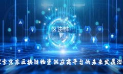 探索京东区块链物资供应商平台的未来发展潜力