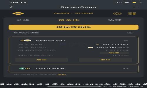 riaoti国内区块链项目平台排行：2023年度评估与前景展望